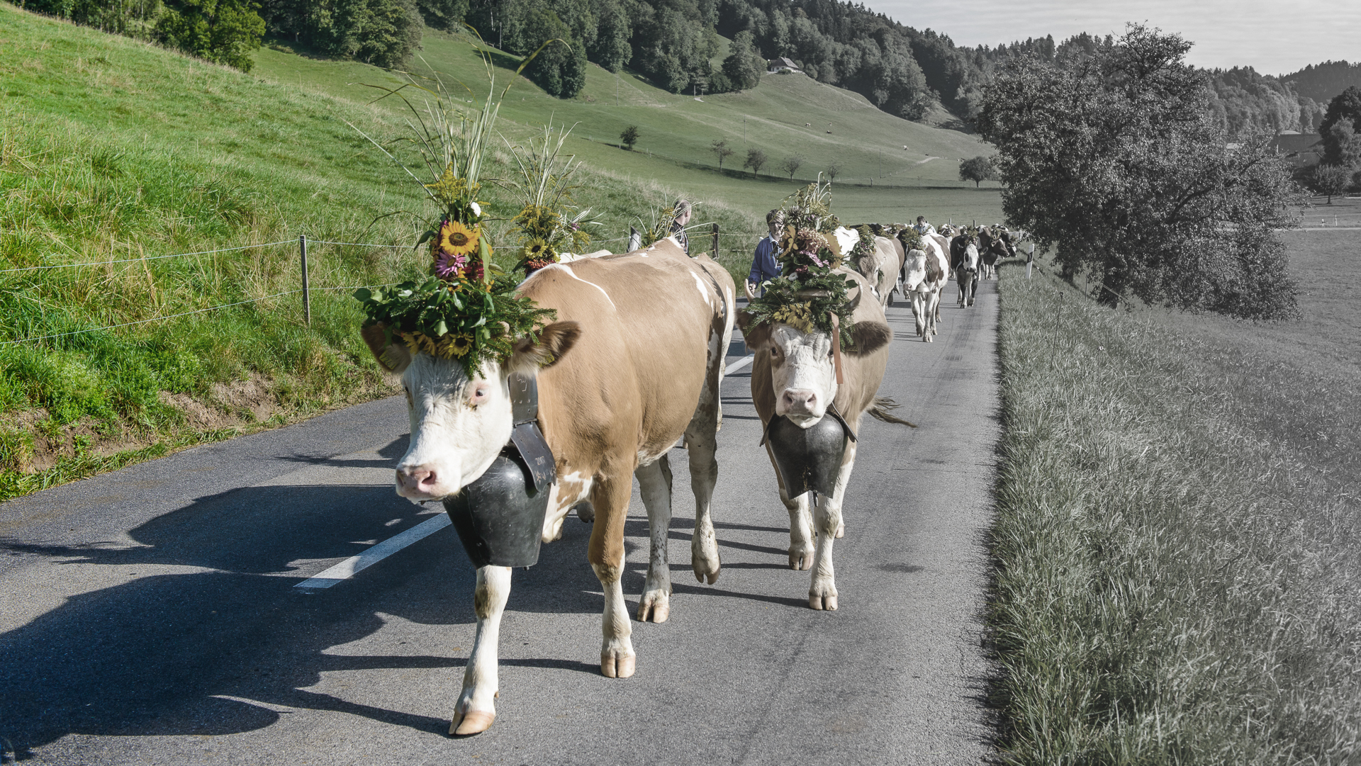 Der September ist der Mai des Herbstes.