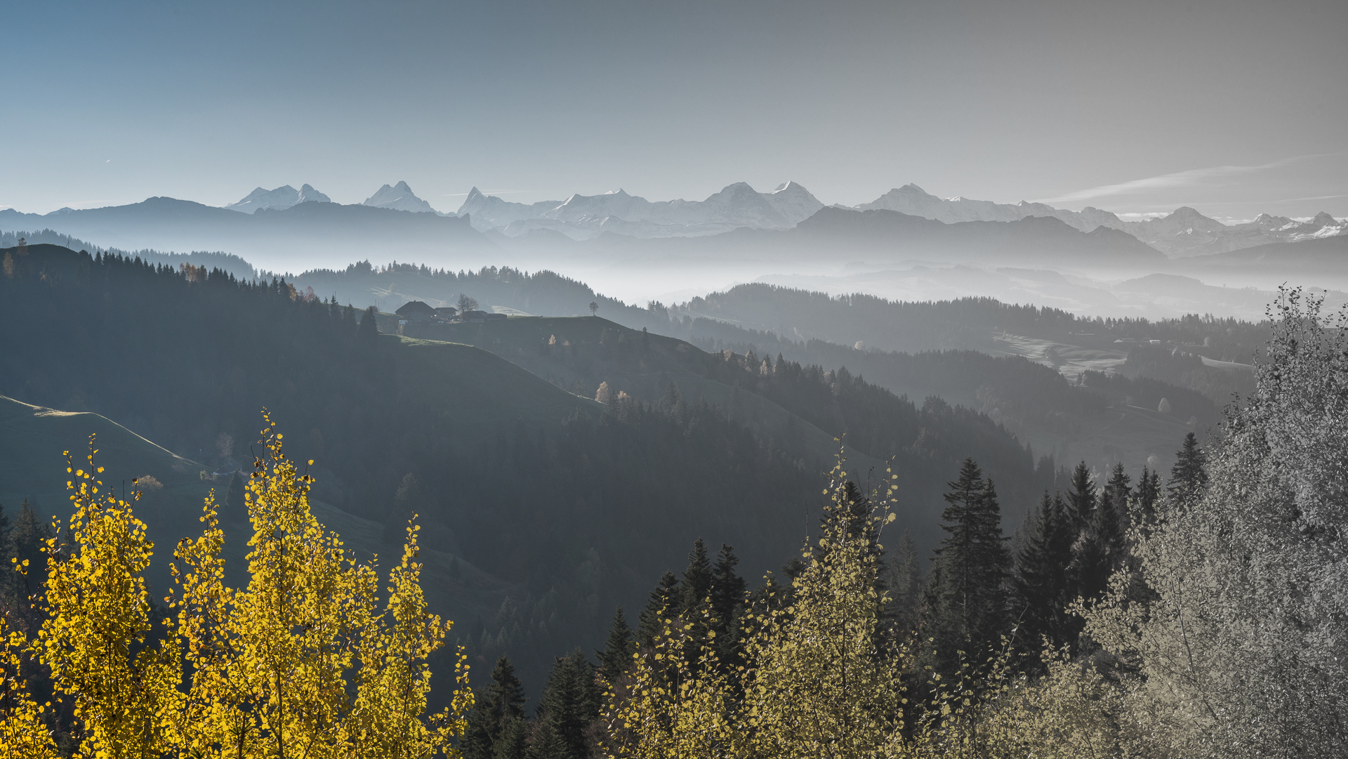 Ist der Herbst warm, hell und klar, so hoffen wir auf ein gutes Jahr.