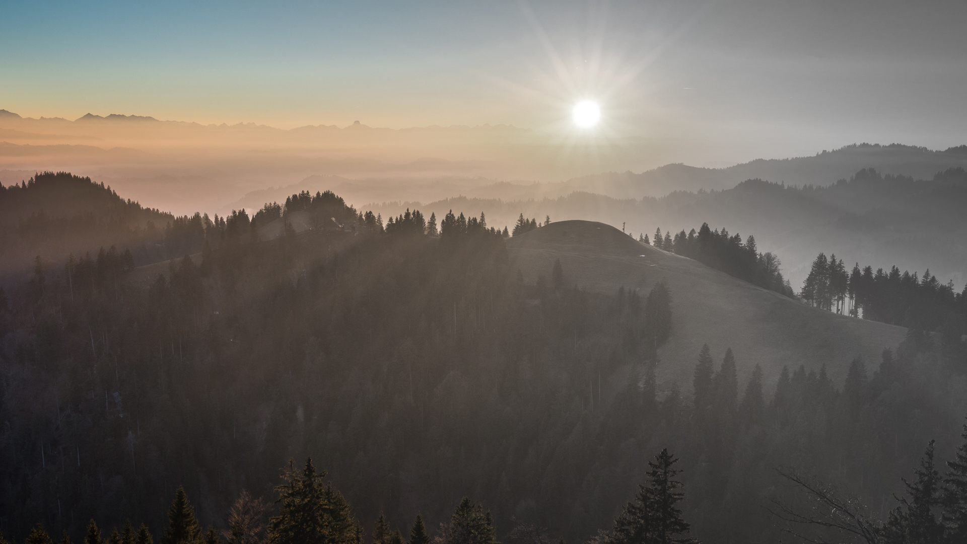 Vor Winter tief gepflügt, ist halb gedüngt.